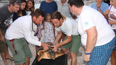 Giornata mondiale delle tartaruge marine